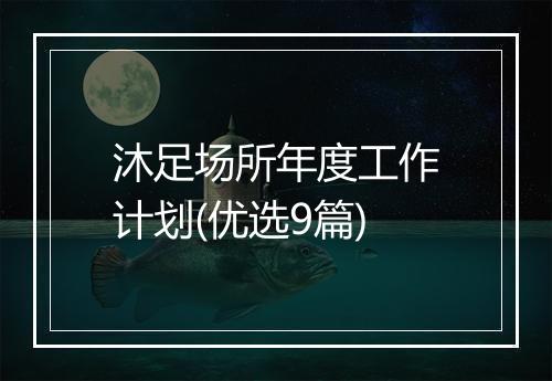 沐足场所年度工作计划(优选9篇)