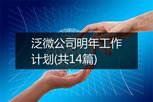 泛微公司明年工作计划(共14篇)