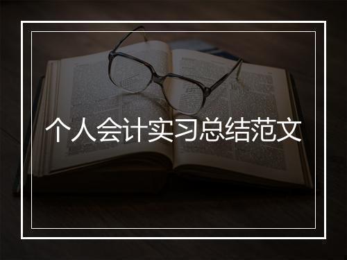个人会计实习总结范文