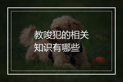 教唆犯的相关知识有哪些
