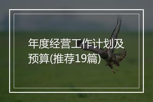 年度经营工作计划及预算(推荐19篇)