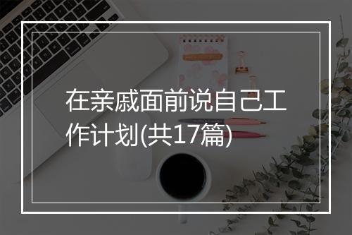 在亲戚面前说自己工作计划(共17篇)