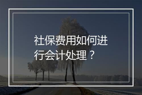 社保费用如何进行会计处理？