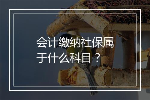 会计缴纳社保属于什么科目？