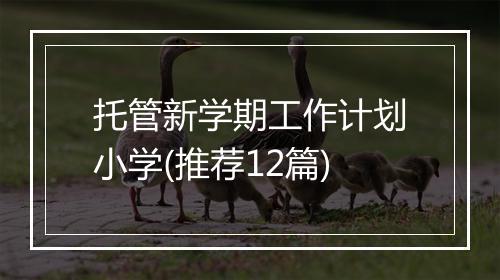 托管新学期工作计划小学(推荐12篇)