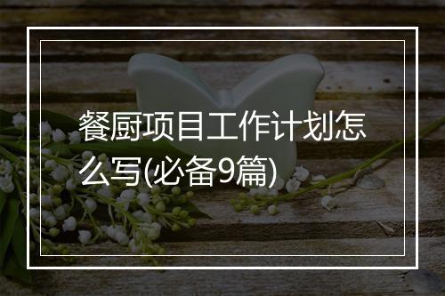 餐厨项目工作计划怎么写(必备9篇)