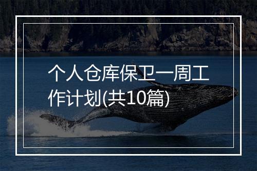 个人仓库保卫一周工作计划(共10篇)