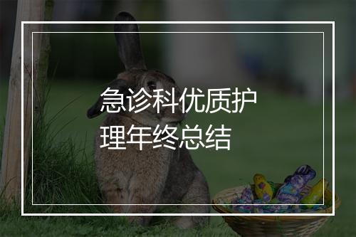 急诊科优质护理年终总结