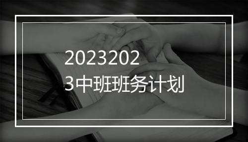 20232023中班班务计划