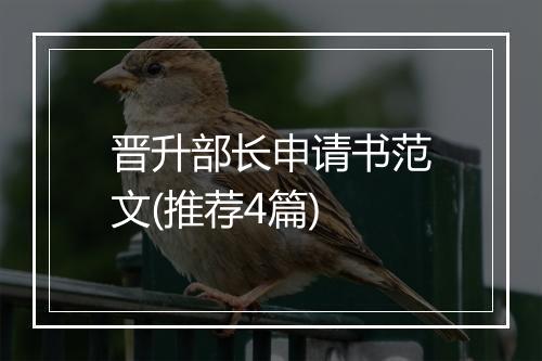 晋升部长申请书范文(推荐4篇)