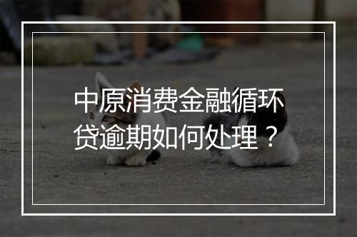 中原消费金融循环贷逾期如何处理？