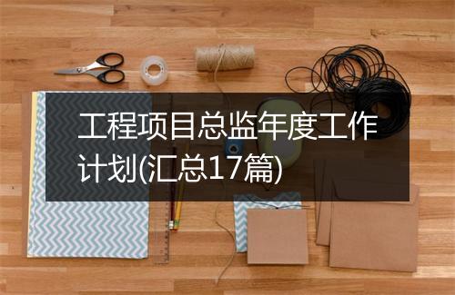 工程项目总监年度工作计划(汇总17篇)