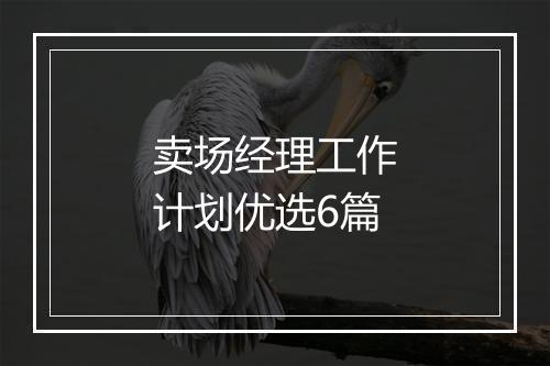 卖场经理工作计划优选6篇