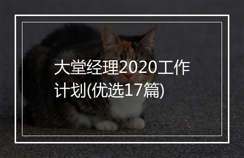 大堂经理2020工作计划(优选17篇)