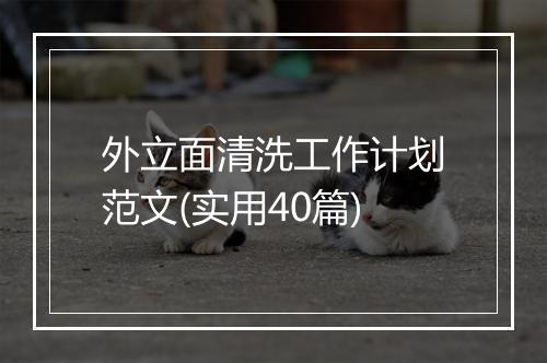外立面清洗工作计划范文(实用40篇)