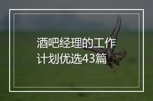 酒吧经理的工作计划优选43篇