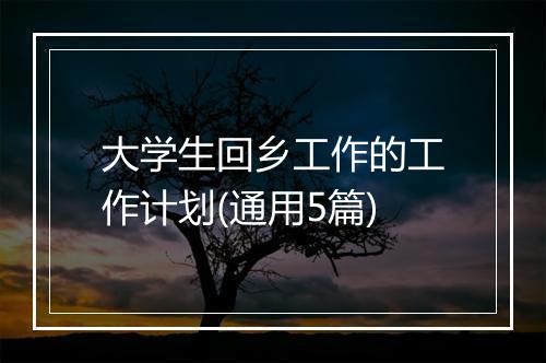 大学生回乡工作的工作计划(通用5篇)
