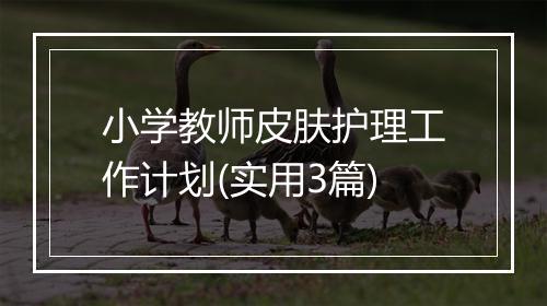 小学教师皮肤护理工作计划(实用3篇)