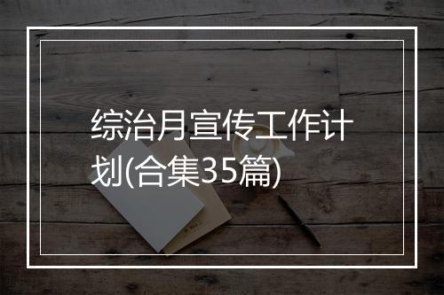 综治月宣传工作计划(合集35篇)