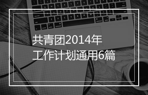 共青团2014年工作计划通用6篇