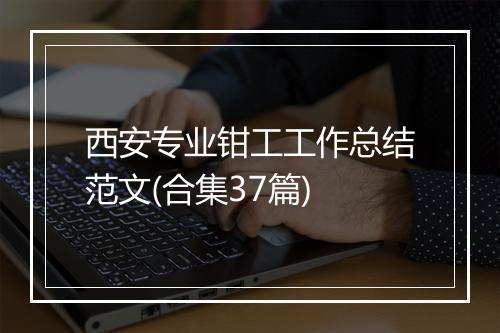 西安专业钳工工作总结范文(合集37篇)