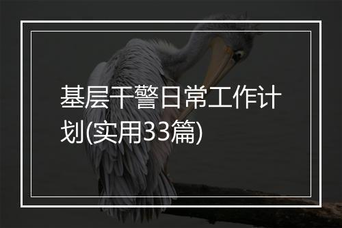 基层干警日常工作计划(实用33篇)