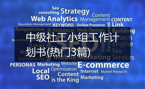 中级社工小组工作计划书(热门3篇)