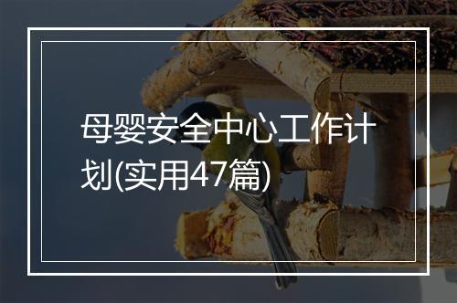 母婴安全中心工作计划(实用47篇)