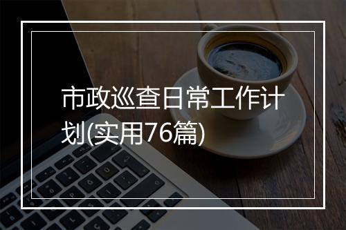市政巡查日常工作计划(实用76篇)