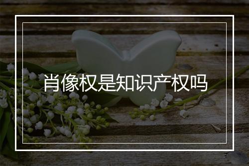肖像权是知识产权吗
