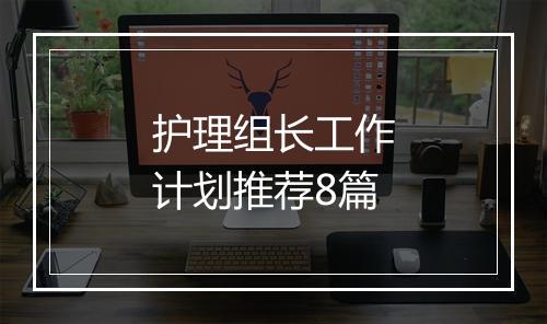 护理组长工作计划推荐8篇