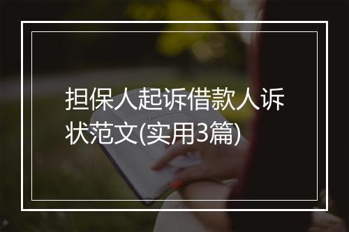 担保人起诉借款人诉状范文(实用3篇)