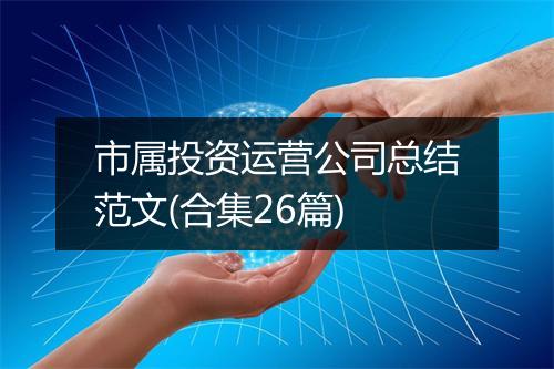 市属投资运营公司总结范文(合集26篇)