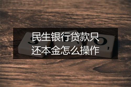 民生银行贷款只还本金怎么操作