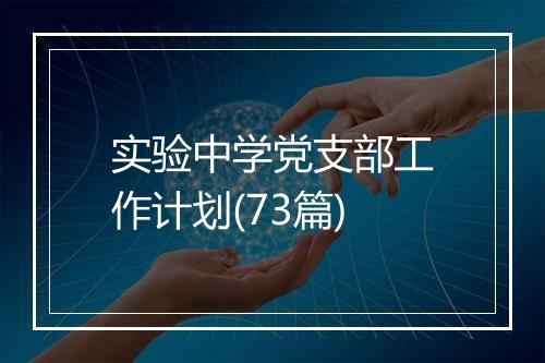 实验中学党支部工作计划(73篇)