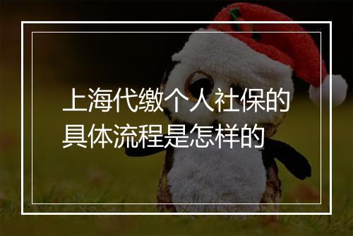 上海代缴个人社保的具体流程是怎样的