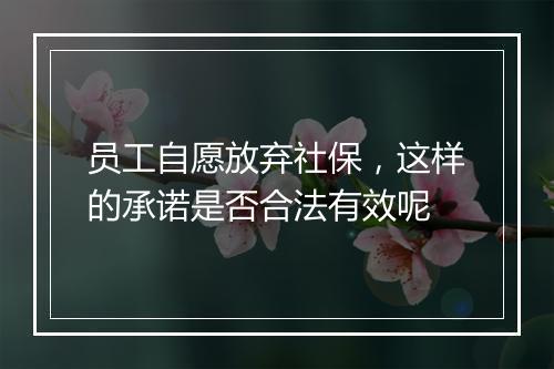 员工自愿放弃社保，这样的承诺是否合法有效呢