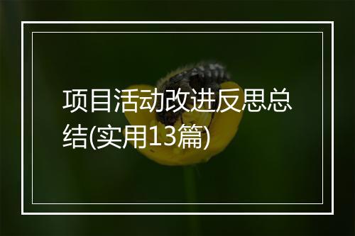 项目活动改进反思总结(实用13篇)