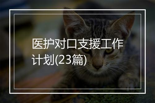 医护对口支援工作计划(23篇)