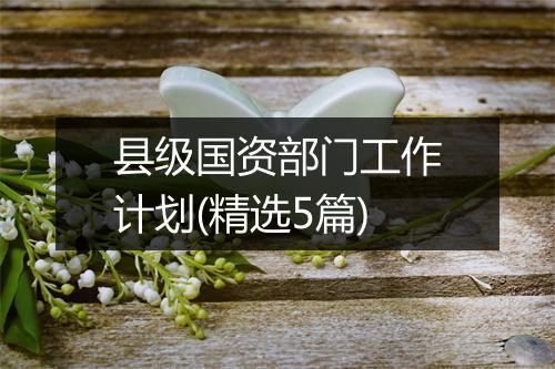 县级国资部门工作计划(精选5篇)