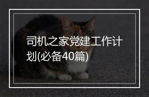 司机之家党建工作计划(必备40篇)