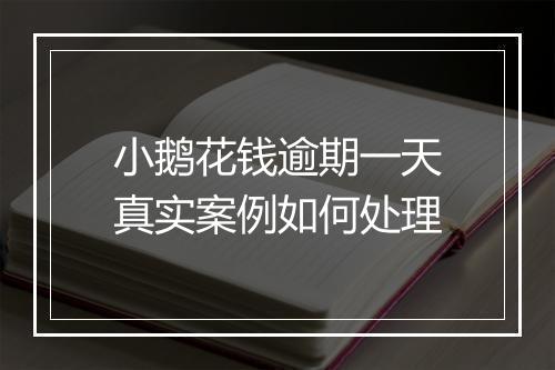 小鹅花钱逾期一天真实案例如何处理