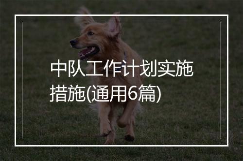 中队工作计划实施措施(通用6篇)