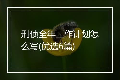 刑侦全年工作计划怎么写(优选6篇)