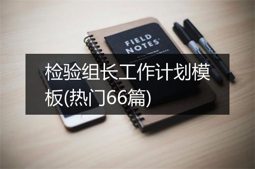 检验组长工作计划模板(热门66篇)