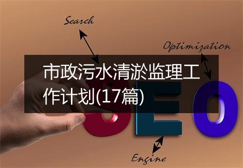 市政污水清淤监理工作计划(17篇)