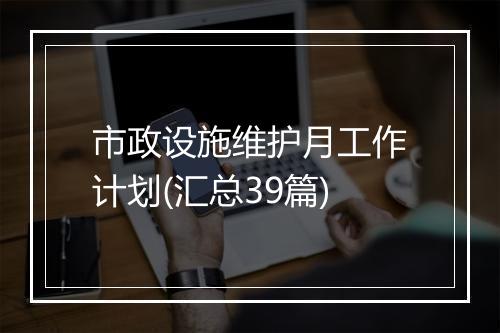 市政设施维护月工作计划(汇总39篇)