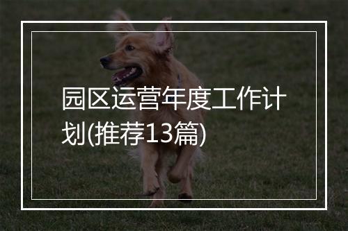 园区运营年度工作计划(推荐13篇)