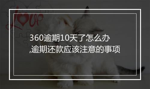 360逾期10天了怎么办,逾期还款应该注意的事项