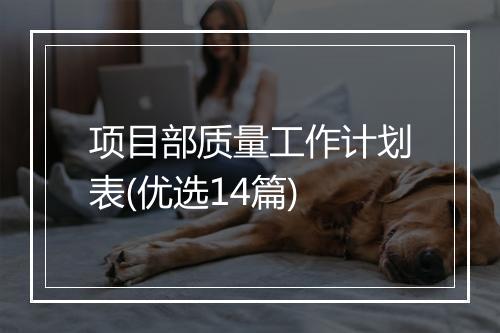 项目部质量工作计划表(优选14篇)